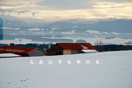芝麻没有逾期记录
