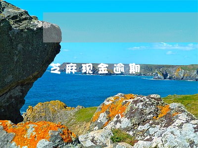 芝麻现金逾期 芝麻现金逾期