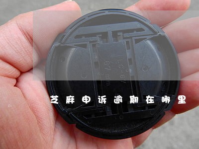 芝麻申诉逾期在哪里 芝麻申诉逾期在哪里