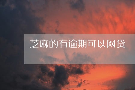 芝麻的有逾期可以网贷