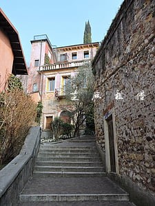 芝麻租借逾期 芝麻租借逾期
