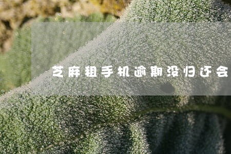 芝麻租手机逾期没归还会扣分吗 芝麻租手机逾期没归还会扣分吗