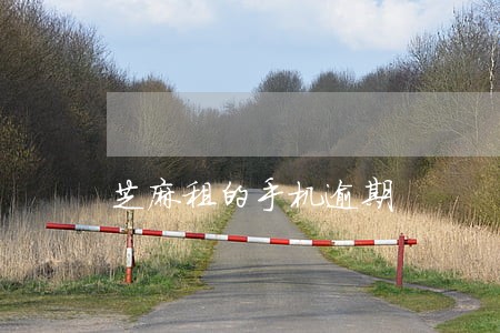 芝麻租的手机逾期 芝麻租的手机逾期