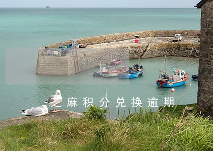 芝麻积分兑换逾期 芝麻积分兑换逾期