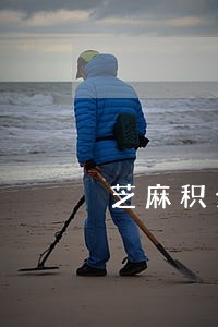芝麻积分可以保借呗逾期多久 芝麻积分可以保借呗逾期多久