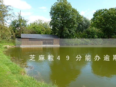 芝麻粒49分能办逾期不 芝麻粒49分能办逾期不