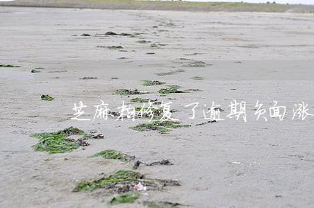 芝麻粒修复了逾期负面涨分吗 芝麻粒修复了逾期负面涨分吗