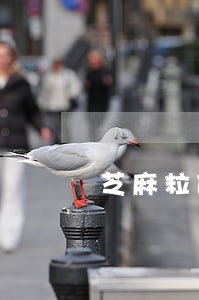芝麻粒修复借呗逾期 芝麻粒修复借呗逾期