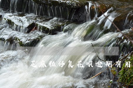 芝麻粒修复花呗逾期有用吗 芝麻粒修复花呗逾期有用吗