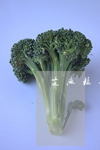 芝麻粒修复逾期记录信用会回来吗 芝麻粒修复逾期记录信用会回来吗