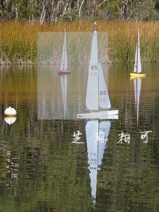 芝麻粒可以消除小额花呗逾期 芝麻粒可以消除小额花呗逾期