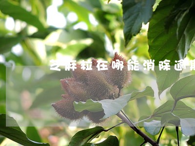 芝麻粒在哪能消除逾期 芝麻粒在哪能消除逾期