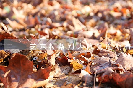 芝麻粒帮别人修复逾期有影响吗 芝麻粒帮别人修复逾期有影响吗