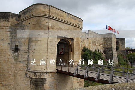 芝麻粒怎么消除逾期 芝麻粒怎么消除逾期