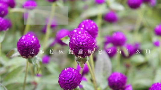 芝麻粒恢复逾期记录有什么用 芝麻粒恢复逾期记录有什么用