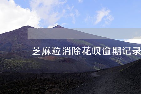 芝麻粒消除花呗逾期记录 芝麻粒消除花呗逾期记录