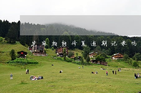 芝麻粒能修复逾期记录吗 芝麻粒能修复逾期记录吗