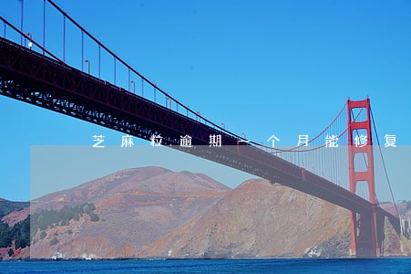 芝麻粒逾期一个月能修复几次 芝麻粒逾期一个月能修复几次