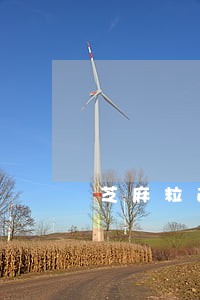 芝麻粒逾期三个月了 芝麻粒逾期三个月了