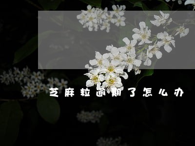 芝麻粒逾期了怎么办 芝麻粒逾期了怎么办