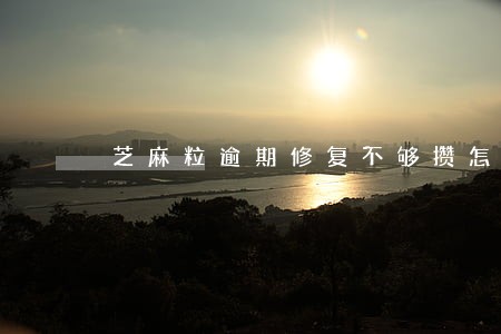 芝麻粒逾期修复不够攒怎么办 芝麻粒逾期修复不够攒怎么办