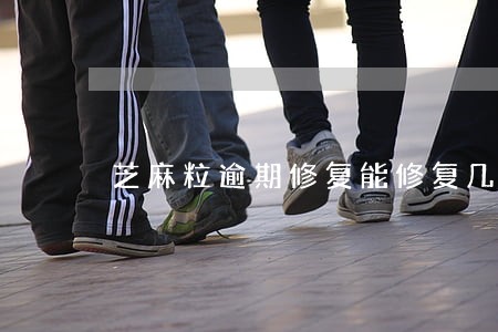 芝麻粒逾期修复能修复几次 芝麻粒逾期修复能修复几次