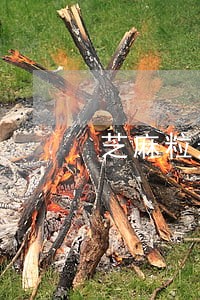 芝麻粒逾期助力