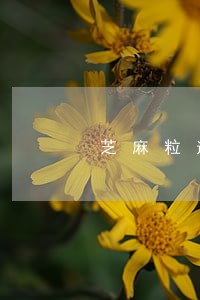 芝麻粒逾期好友助力怎么解冻 芝麻粒逾期好友助力怎么解冻