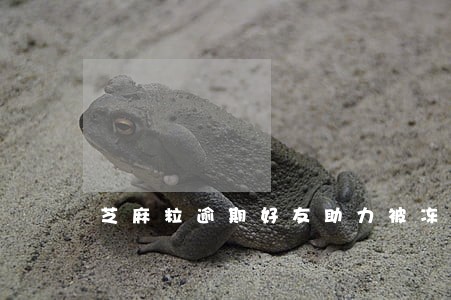 芝麻粒逾期好友助力被冻结是 芝麻粒逾期好友助力被冻结是