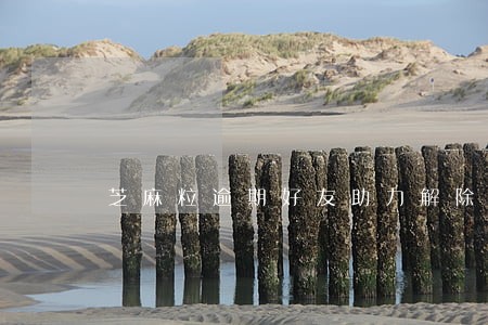 芝麻粒逾期好友助力解除 芝麻粒逾期好友助力解除