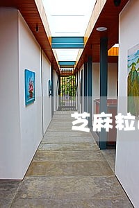 芝麻粒逾期怎么办 芝麻粒逾期怎么办