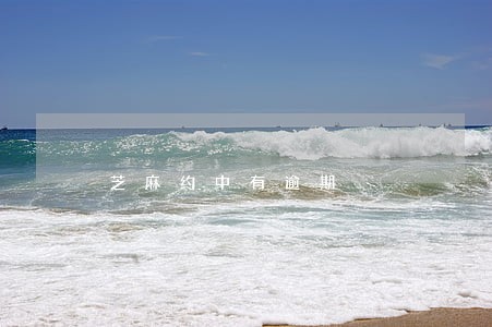 芝麻约中有逾期 芝麻约中有逾期