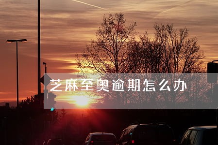 芝麻至奥逾期怎么办 芝麻至奥逾期怎么办