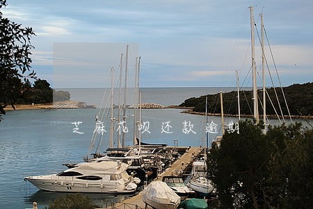 芝麻花呗还款逾期 芝麻花呗还款逾期