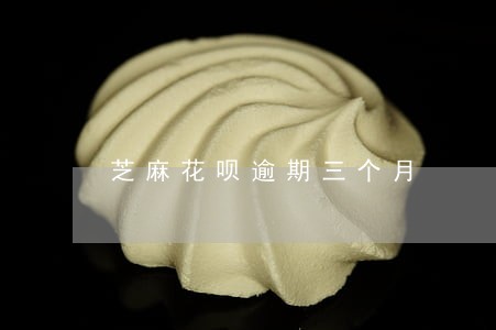 芝麻花呗逾期三个月 芝麻花呗逾期三个月