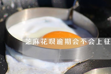 芝麻花呗逾期会不会上征信 芝麻花呗逾期会不会上征信