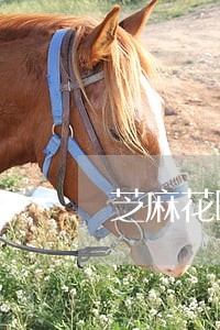 芝麻花呗逾期会怎么样 芝麻花呗逾期会怎么样