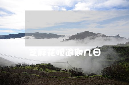 芝麻花呗逾期几日 芝麻花呗逾期几日