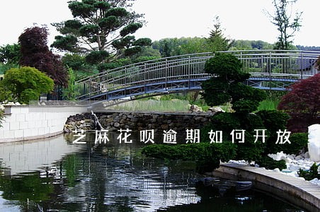 芝麻花呗逾期如何开放 芝麻花呗逾期如何开放