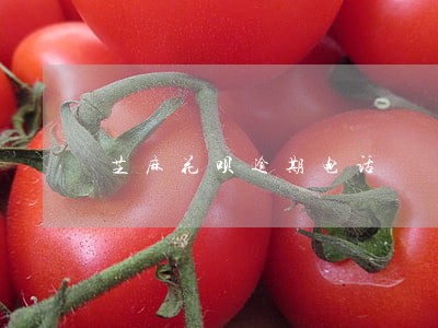 芝麻花呗逾期电话 芝麻花呗逾期电话