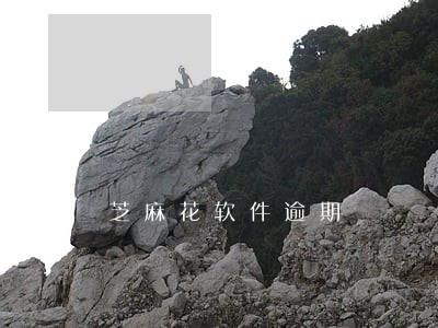 芝麻花软件逾期 芝麻花软件逾期