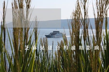 芝麻见证合约逾期影响什么 芝麻见证合约逾期影响什么