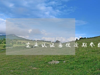 芝麻认证无效逾期参数 芝麻认证无效逾期参数