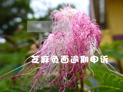 芝麻负面逾期申诉 芝麻负面逾期申诉