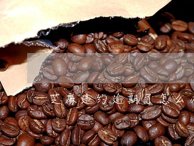 芝麻违约逾期了怎么办 芝麻违约逾期了怎么办