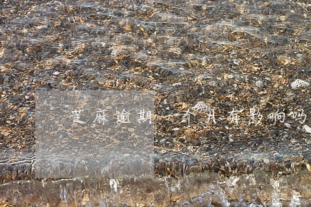 芝麻逾期一个月有影响吗