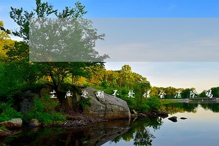 芝麻逾期不处理会消除吗 芝麻逾期不处理会消除吗