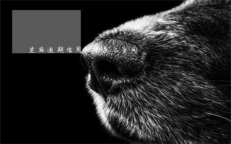 芝麻逾期信用记录怎么查询