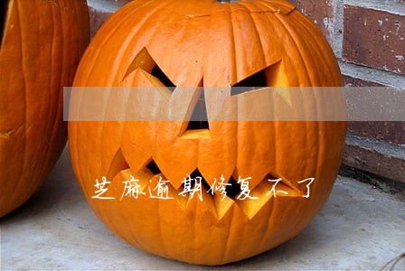 芝麻逾期修复不了 芝麻逾期修复不了