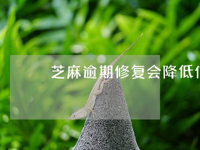 芝麻逾期修复会降低信用分 芝麻逾期修复会降低信用分